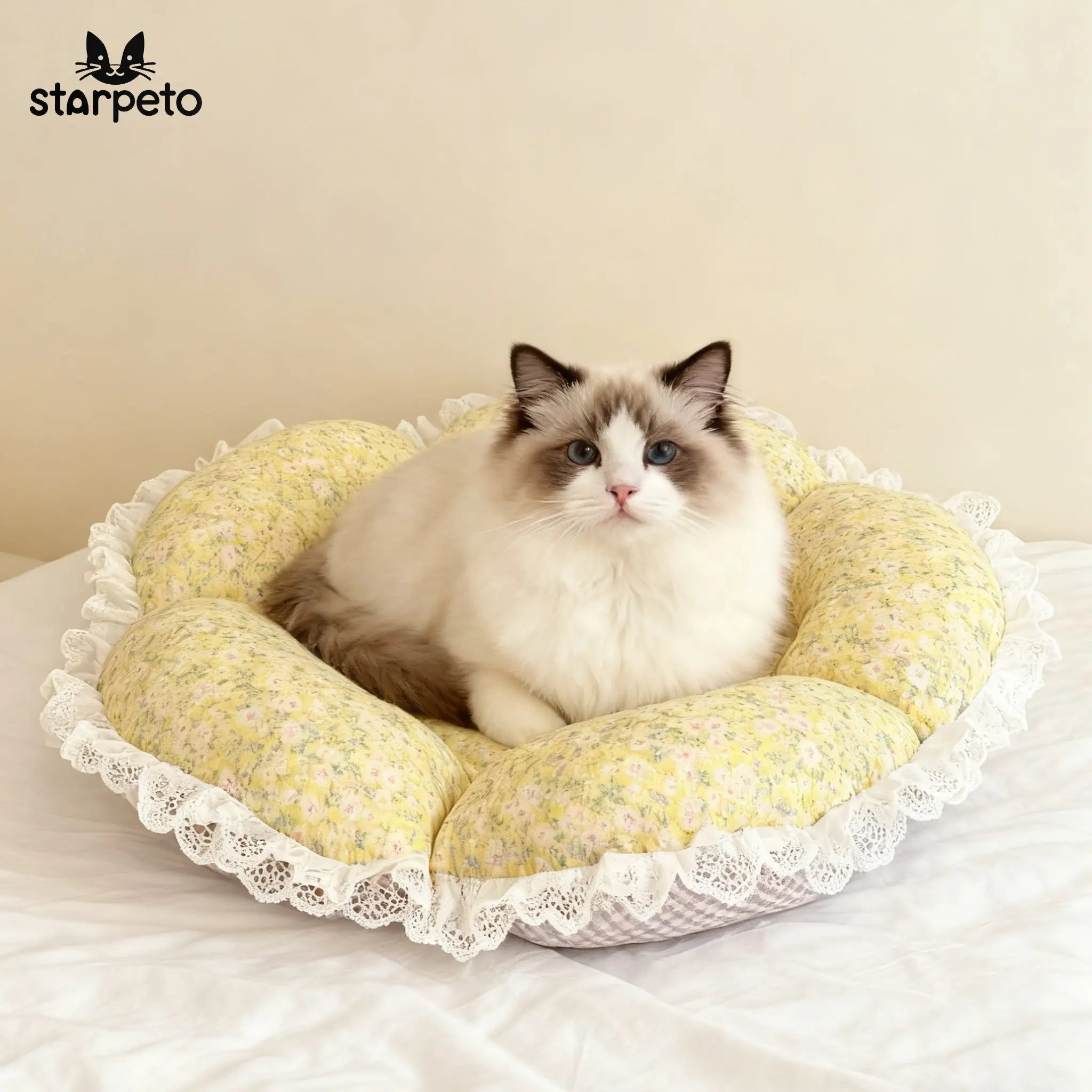 Cat Bed