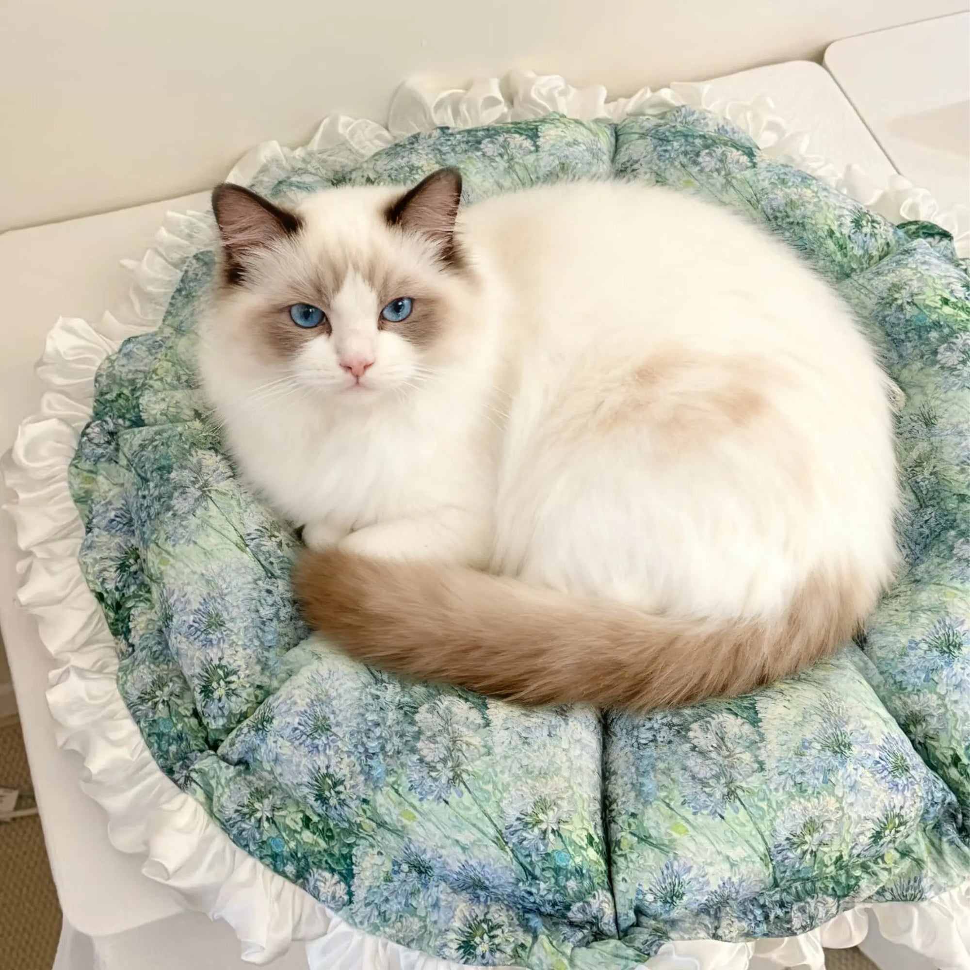 Indoor cat resting on an art style garden oil painting inspired cat bed in chic home setting