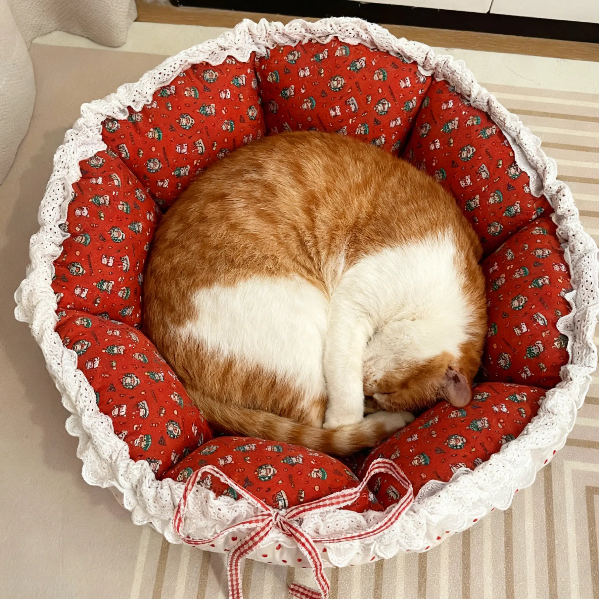 Cat sleeping in a red patterned pet bed with lace trim.