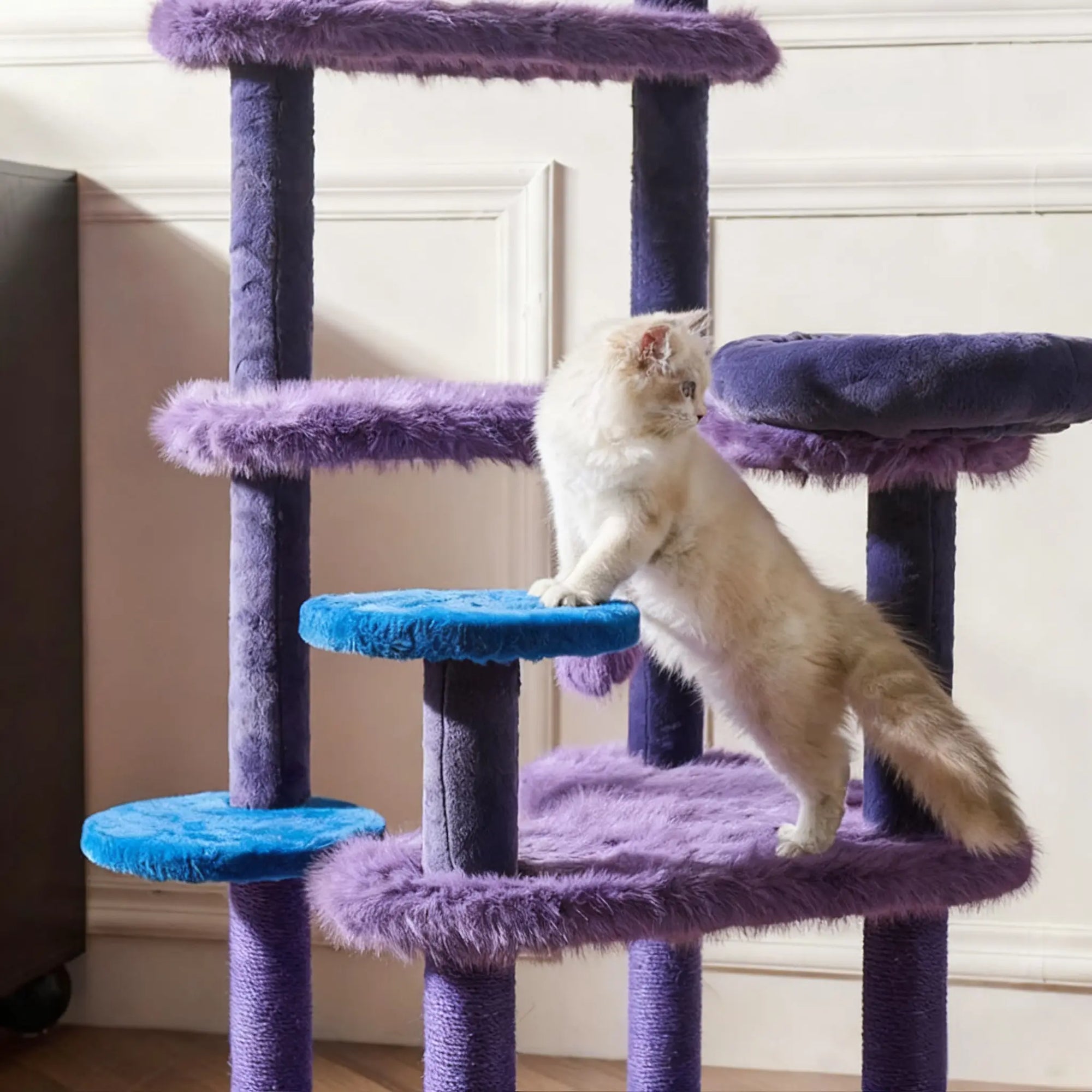 Aesthetic Halloween purple cat tree matching home decoration style