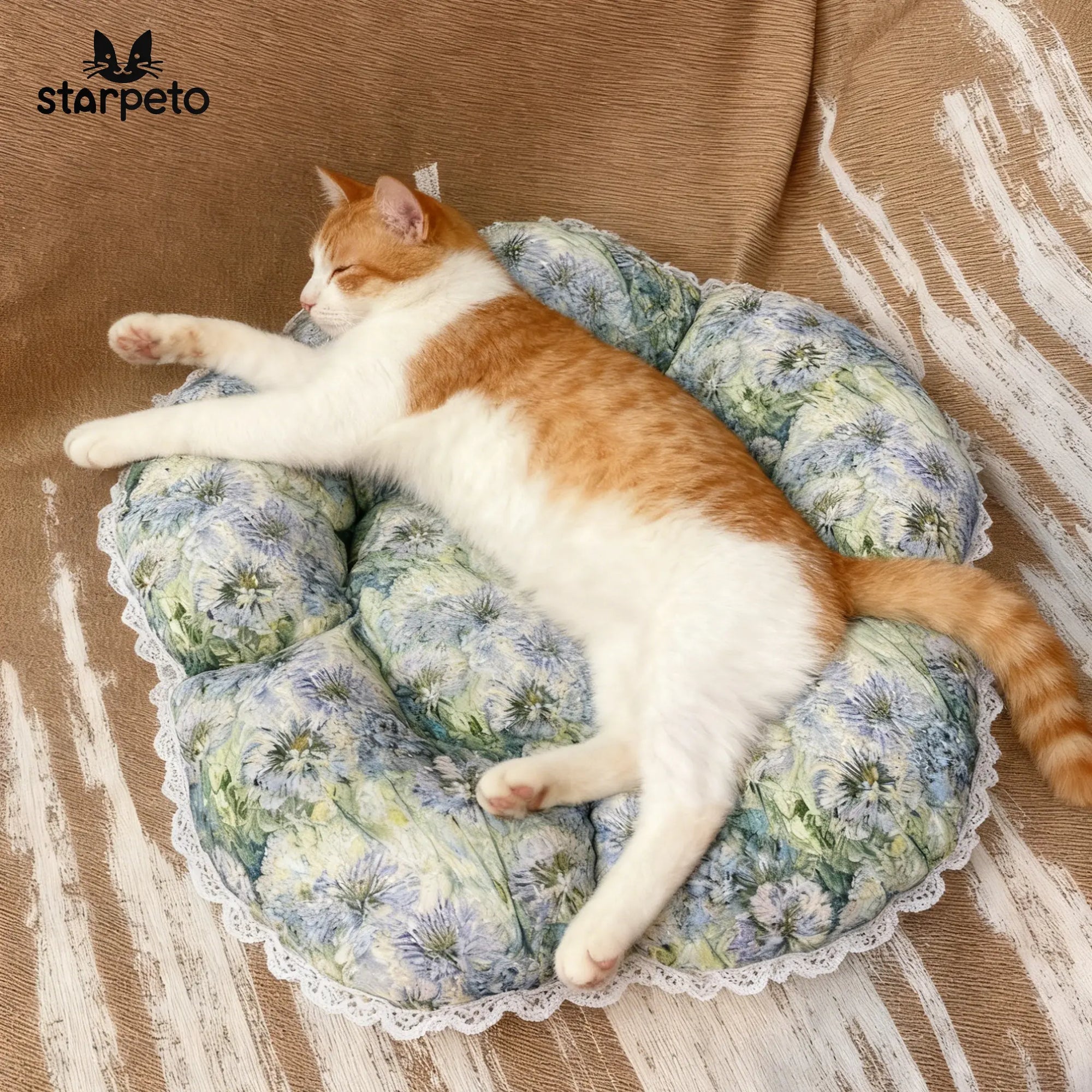 Cute cat napping peacefully in the Morandi petal-shaped bed, designed with orthopedic support for senior cats. Elegant home aesthetic.