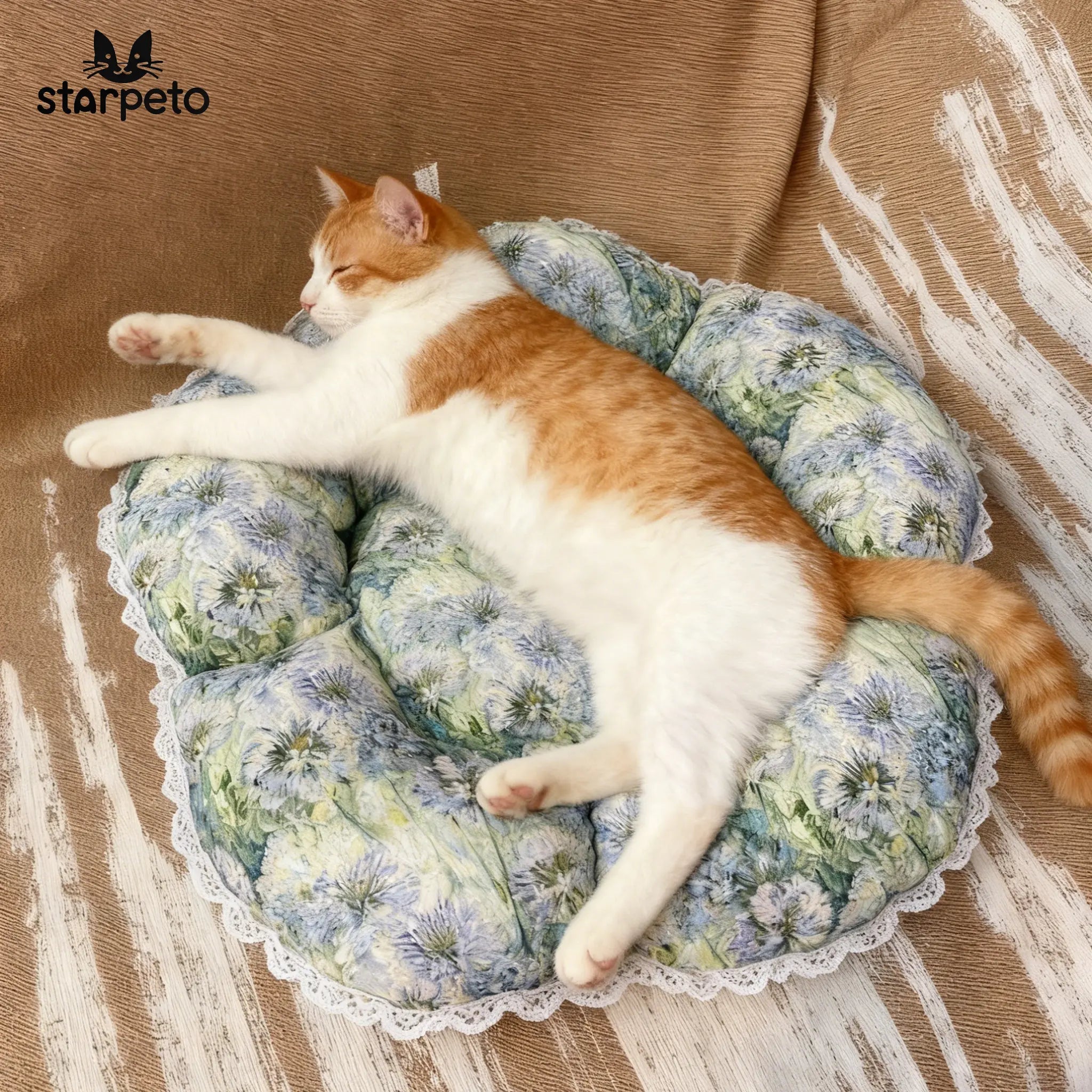 Cute cat napping peacefully in the Morandi petal-shaped bed, designed with orthopedic support for senior cats. Elegant home aesthetic.