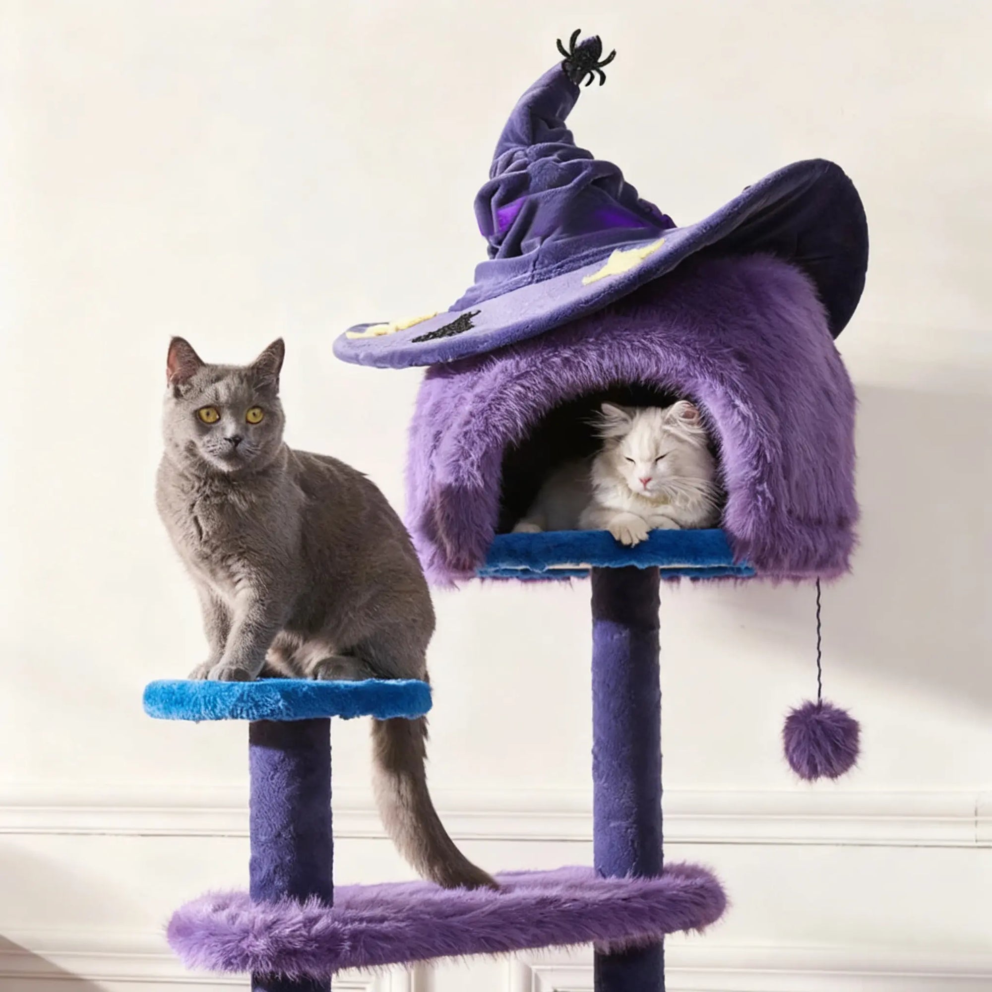 Lifestyle photo of purple Halloween cat tree with witch hat and playful cats