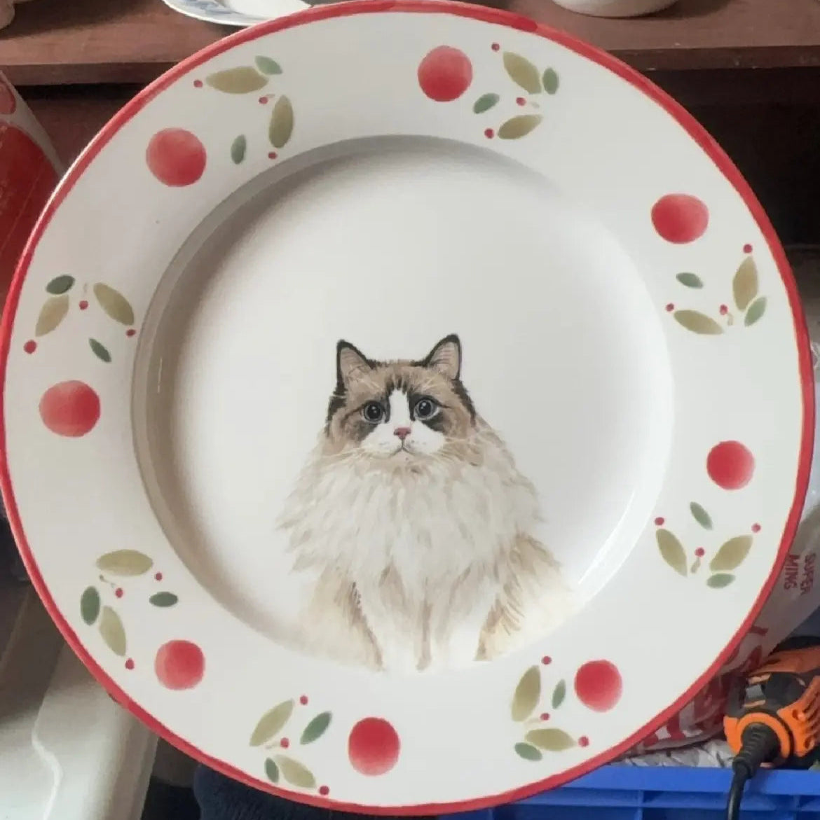 Sample of a custom hand-painted pet ceramic bowl created from customer photo